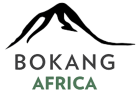 Bokang Africa